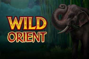 Wild Orient gratis sau cu bani reali – ție cum ți-ar plăcea să joci acest slot Microgaming?