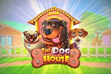 The Dog House gratis sau optezi pentru jocul pe sume reale în cazinourile online ONJN din România?