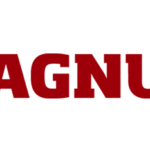 magnum bet
