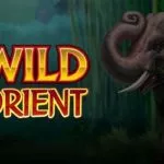 Wild Orient gratis