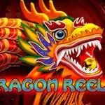 dragon reels gratis